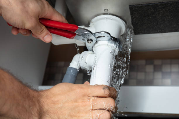 Best Professional water damage repair  in Arapahoe, NE