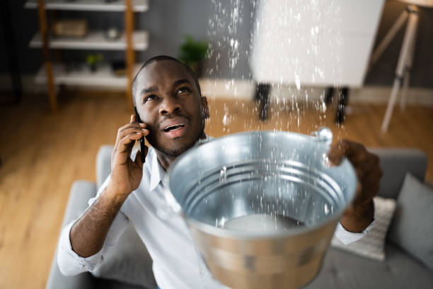 Best Mold removal after water damage  in Arapahoe, NE
