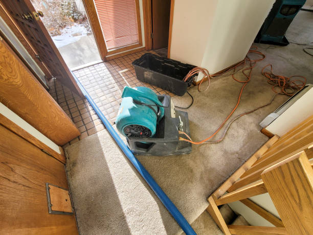 Best Commercial water damage restoration  in Arapahoe, NE