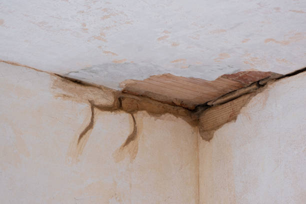 Best Sewage cleanup and water damage restoration  in Arapahoe, NE