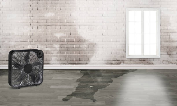 Best 24/7 water damage repair  in Arapahoe, NE