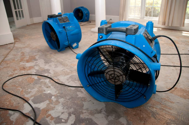 Trusted NE Water damage restoration Experts
