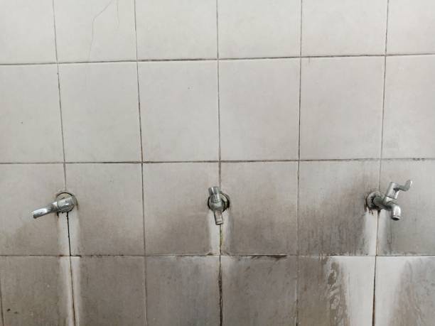 Best Flood restoration services  in Arapahoe, NE