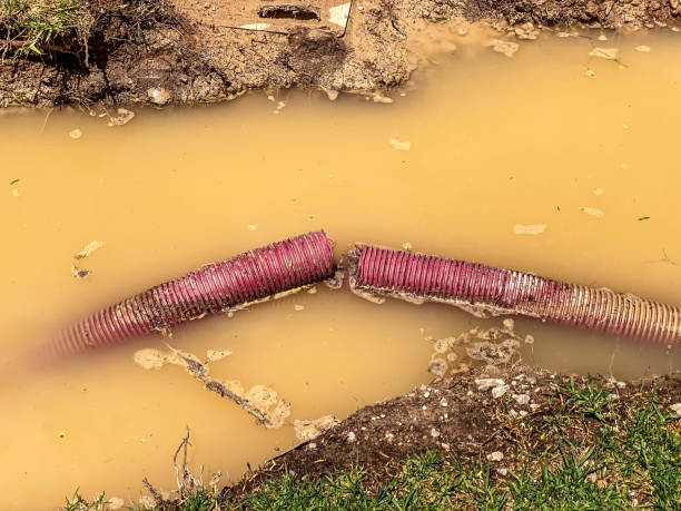 Best Carpet water damage restoration  in Arapahoe, NE