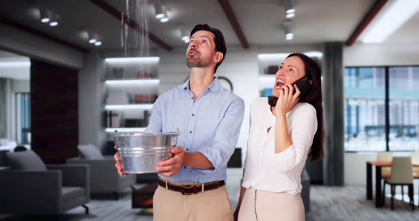 Best Fire Damage Restoration  in Arapahoe, NE