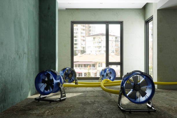 Best 24-hour water damage restoration  in Arapahoe, NE