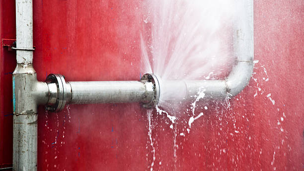 Best Water damage contractors near me  in Arapahoe, NE